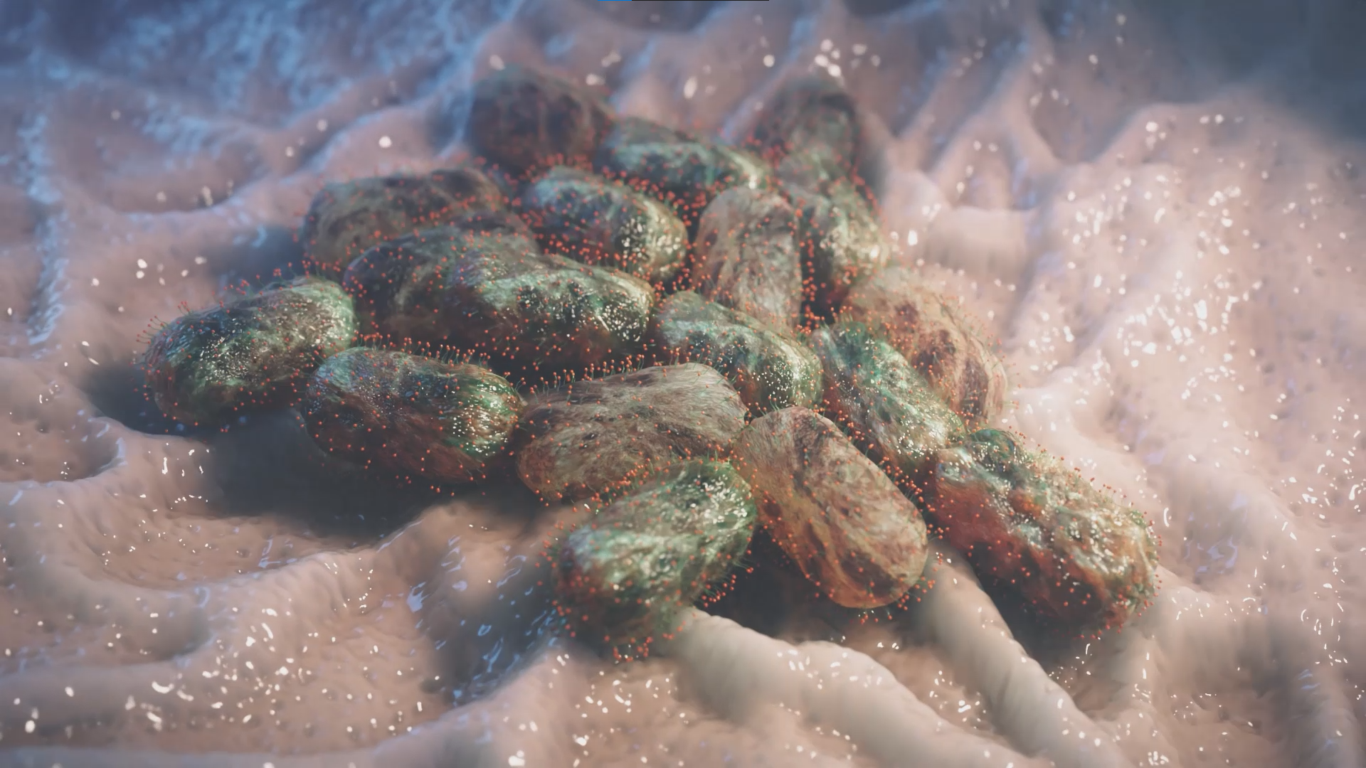 3D Medical Animation